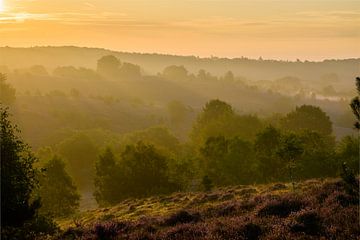 Early sunrays