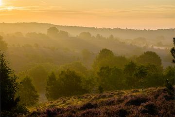 Early sunrays van John Goossens Photography