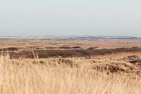 Vue sur les dunes de Terschelling avec le phare au loin