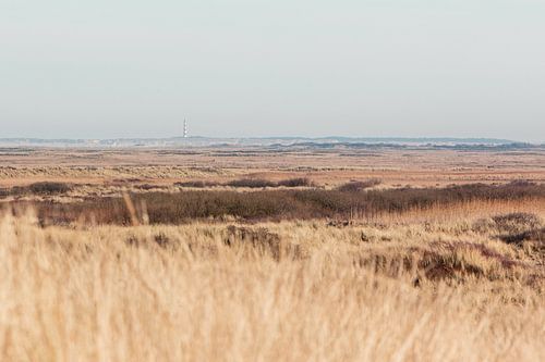Vue sur les dunes de Terschelling avec le phare au loin