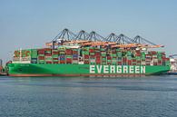 Container ship Ever Aim from Evergreen. by Jaap van den Berg thumbnail