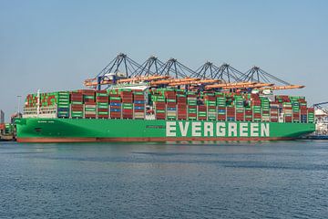Container ship Ever Aim from Evergreen. by Jaap van den Berg