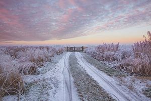 Sonnenaufgang in einer nebligen Landschaft bei IJlst in Friesland. Wout Kok One2expose Fotografie.