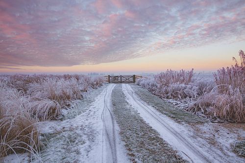 Sunrise in a misty landscape near IJlst in Friesland. Wout Kok One2expose Photography.