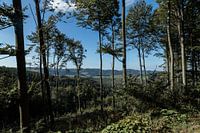 De groene omgeving van het Sauerland, Duitsland