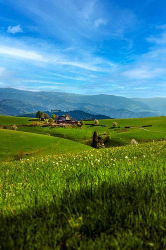 Lente bij St.Peter in het Zwarte Woud
