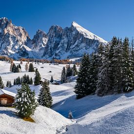 Seiser Alm Panorama Südtirol von Achim Thomae Photography