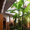Oasis de calme dans un riad à Marrakech sur Teun Janssen