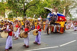 Das Perahera Festival in Kandy von Roland Brack