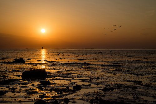 Sonnenuntergang am Schlammloch