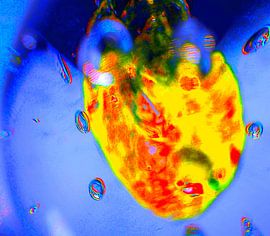 Abstraktion-5 von Peter Norden