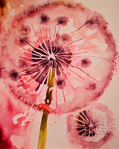 Blase Blume rosa