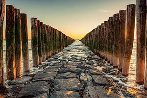 Holzpfähle im Meer und am Strand in Zeeland. von Ron van der Stappen