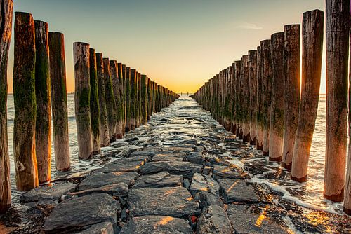 Houten palen in zee en op strand in Zeeland.