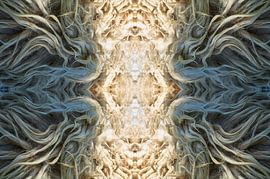 Fotografisches Diptychon von Schoonebeeker-Schafsfell - Mandala-Form, magischer Realismus, Symbolism von Fred Roest