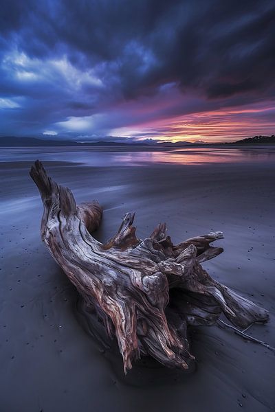 Esthetisch drijfhout voor de kust van fernlichtsicht