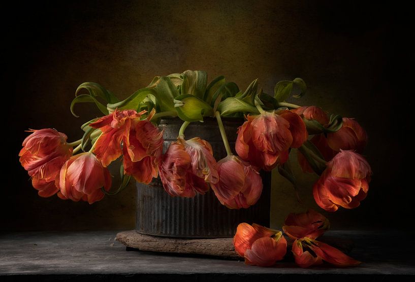 nature morte 117 par jejaka art