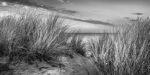 Duinen op het strand in zwart-wit