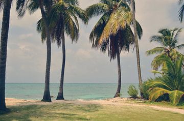 Île tropicale dans les Caraïbes sur Carolina Reina