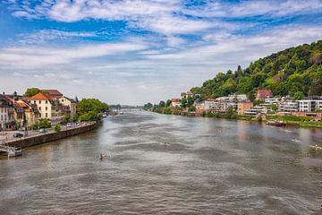 De Neckar in Heidelberg in Duitsland van Jan Schneckenhaus
