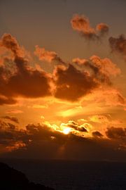Orange by F.A.L.K.E. photography and art