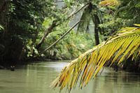 on the indianan river