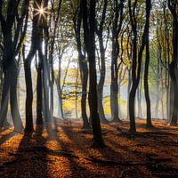 Speulderbos (Nederland)