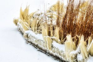 Ice sculpture
