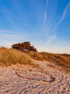 Strand in Kloster auf der Insel Hiddensee