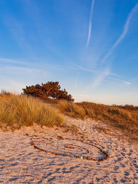 Beach in Kloster on the island Hiddensee by Rico Ködder