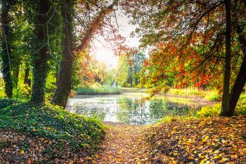 Herbstsee von Tim Lee Williams