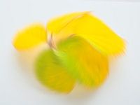 Playful autumn colours 3