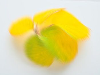 Speelse herfstkleuren 3