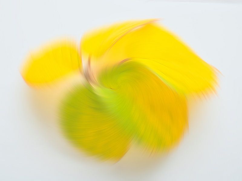 Verspielte Herbstfarben 3 von Jaap Tanis