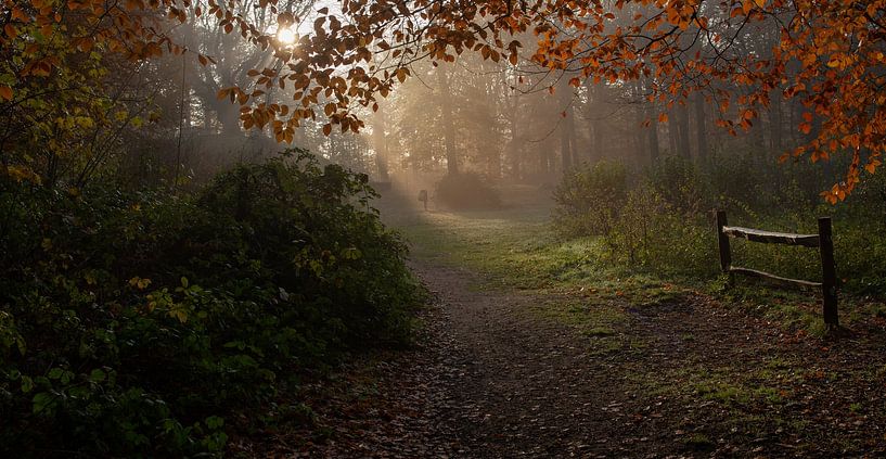 Bike rack in autumn light by peterheinspictures