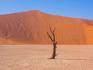 Sand dunes Namibia by Omega Fotografie