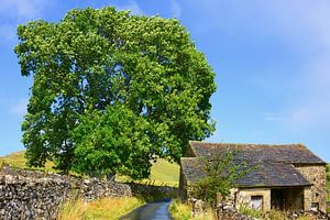 Im Malhamdale
