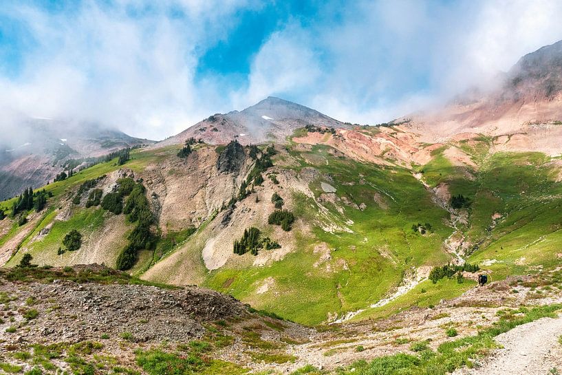 Paysage vert avec des nuages épars par Marc van den Elzen