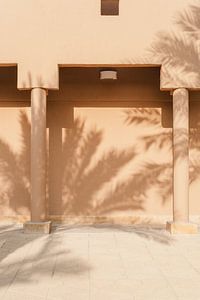Lehmwand mit Schatten spendenden Palmen in Saudi-Arabien