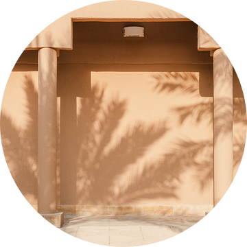 Lemen muur met schaduw van palm  in Saudi-Arabië van Photolovers reisfotografie