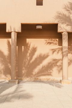 Lemen muur met schaduw van palm  in Saudi-Arabië van Photolovers reisfotografie