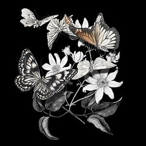 Paper Butterfly Magic van Marja van den Hurk