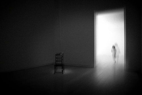 Verdwijnend in het Licht (Disappearing in the Light)