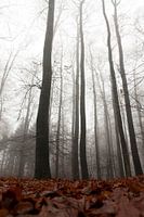 bewogen bomen ii/iii