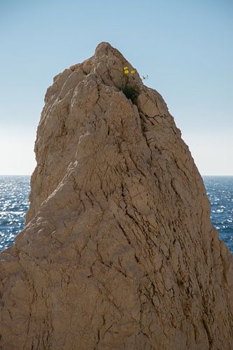 Life finds a way. van Miss Dee Photography