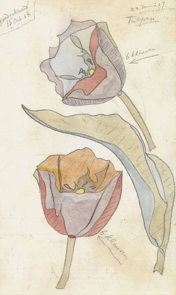 Tulips, Theo Colenbrander by Masterful Masters