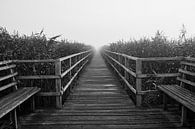 Feather lake walkway black and white by Thomas Marx thumbnail