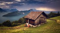 Rigi