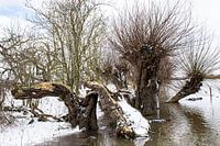 Snowy Rivierenland