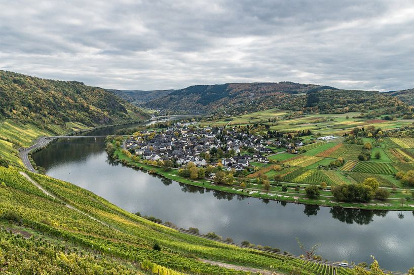 Moselschleife bei Kröv von Margot Klein